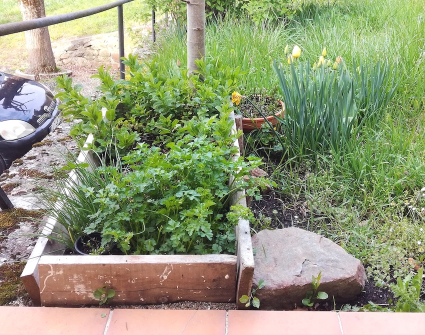 Annexe IMG_20200328_082317.jpg