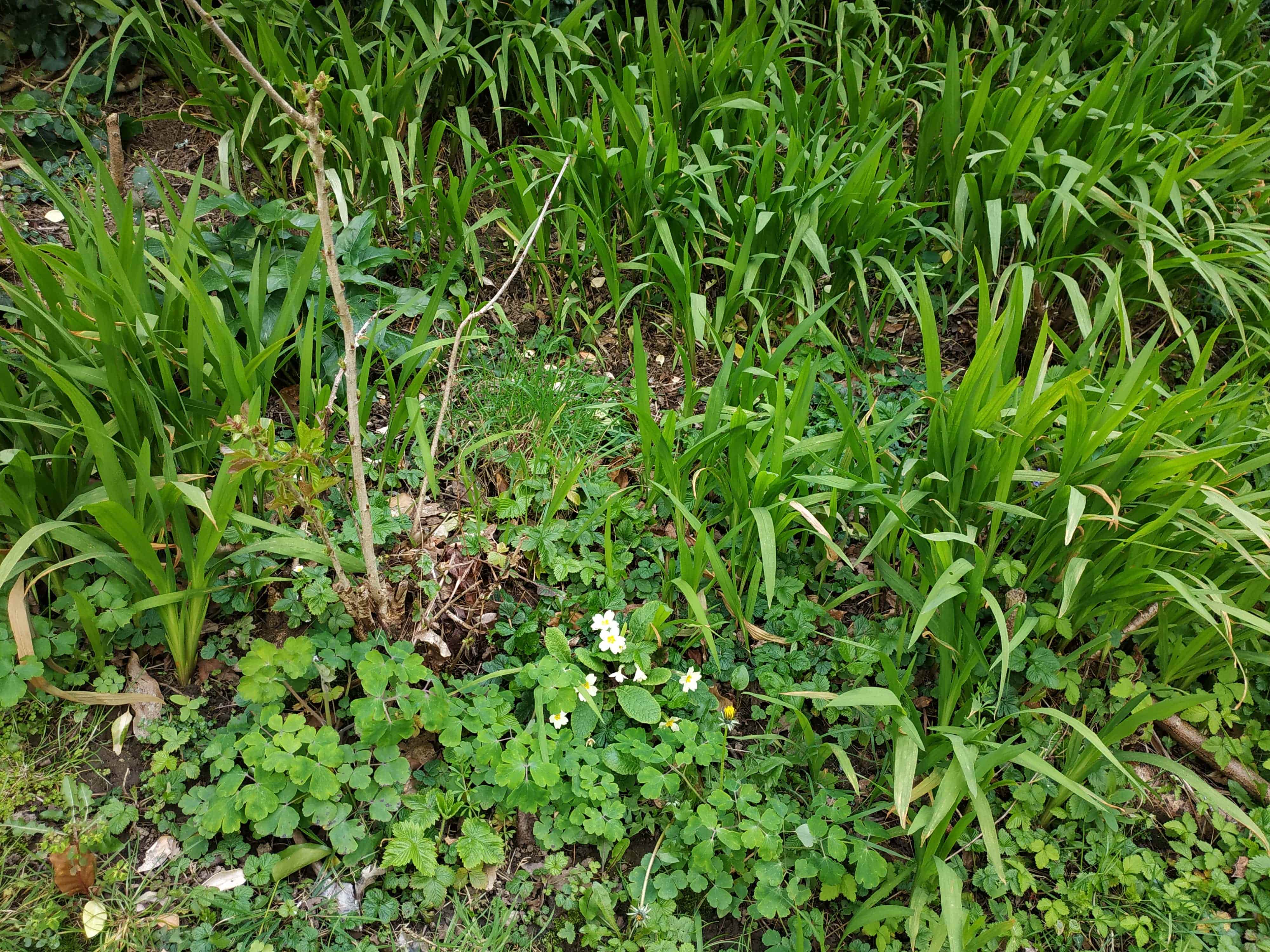 Annexe IMG_20200328_105124-min-min.jpg