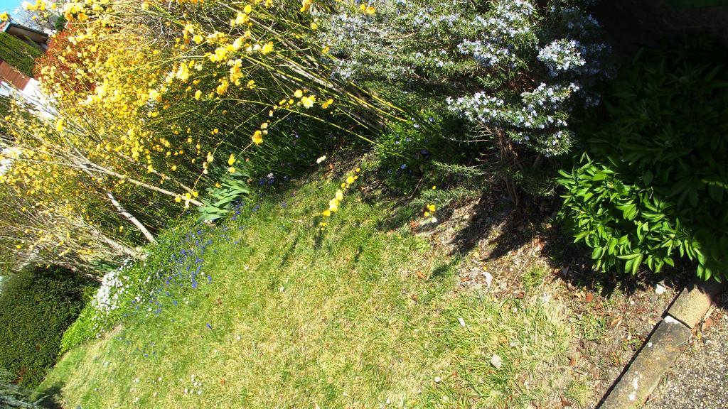 Annexe P3288844 1.JPG