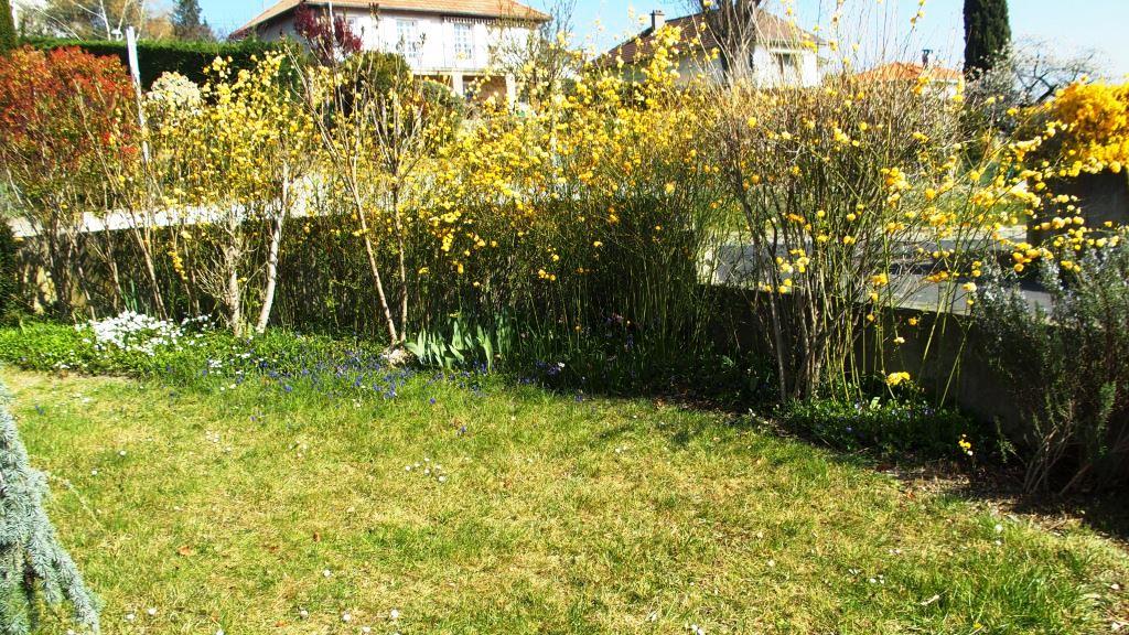 Annexe P3288845 1.JPG