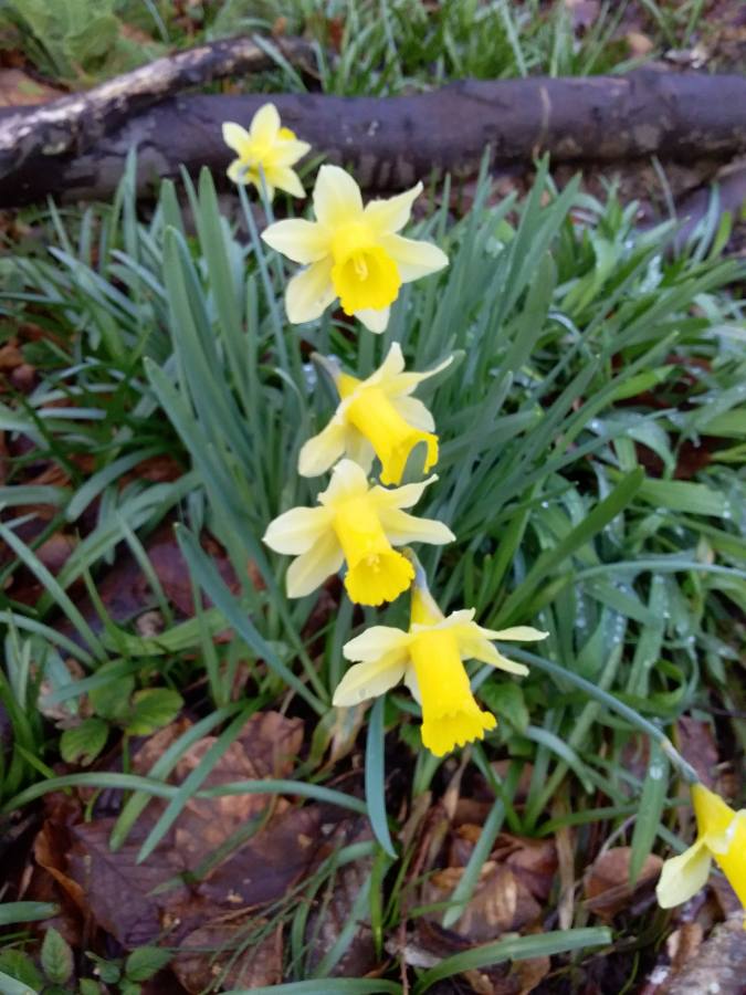 Annexe 1583997871776.JPEG