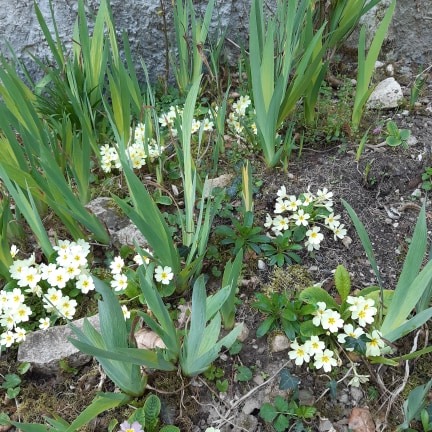 Annexe 91181371_509927289686771_998111770654539776_n.jpg