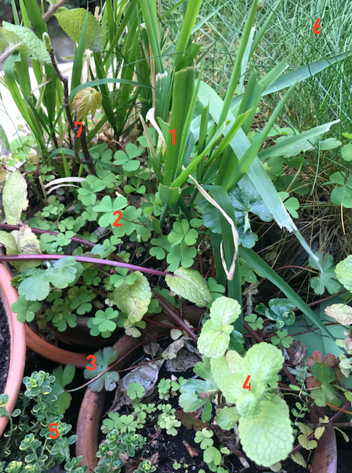 Annexe Capture d’écran 2020-03-28 à 12.36.20.png