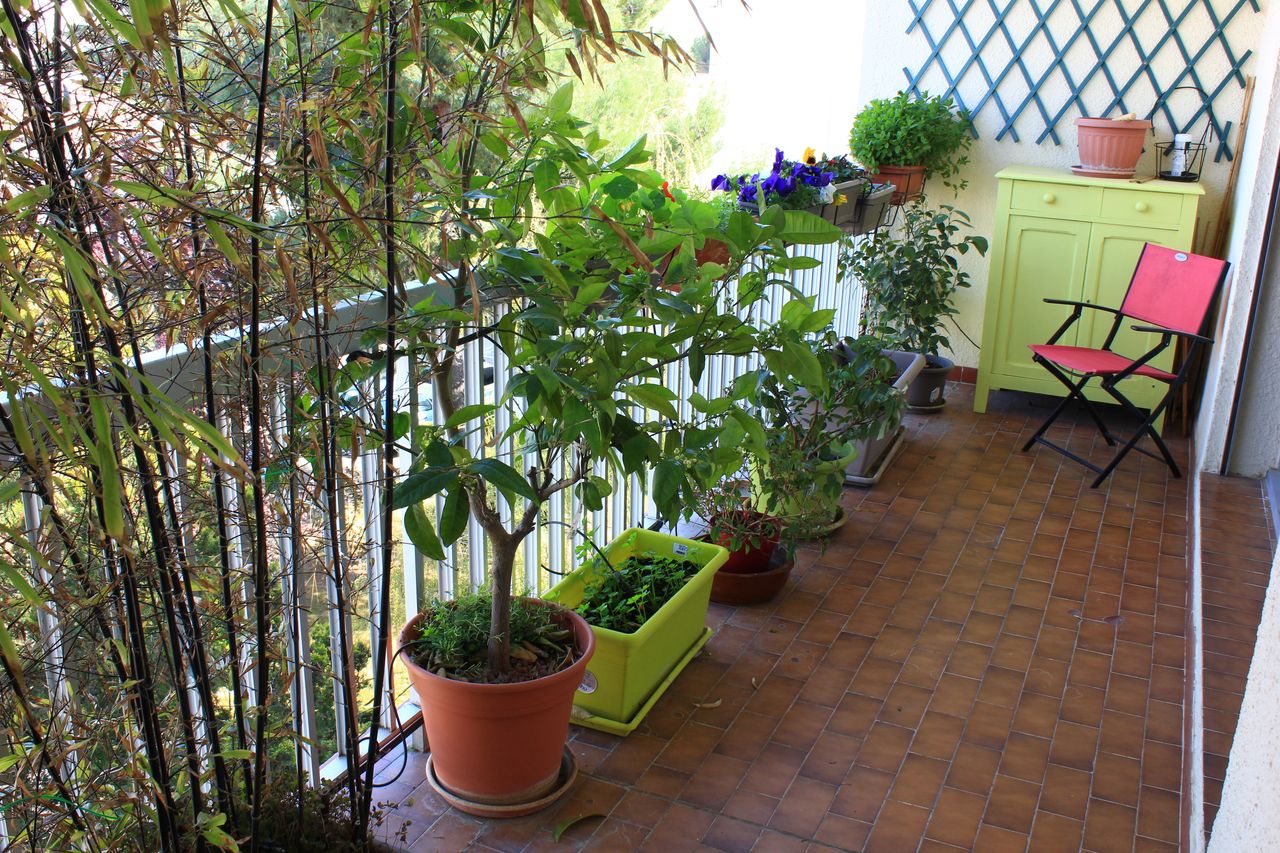 Annexe IMG_4879-2.jpg