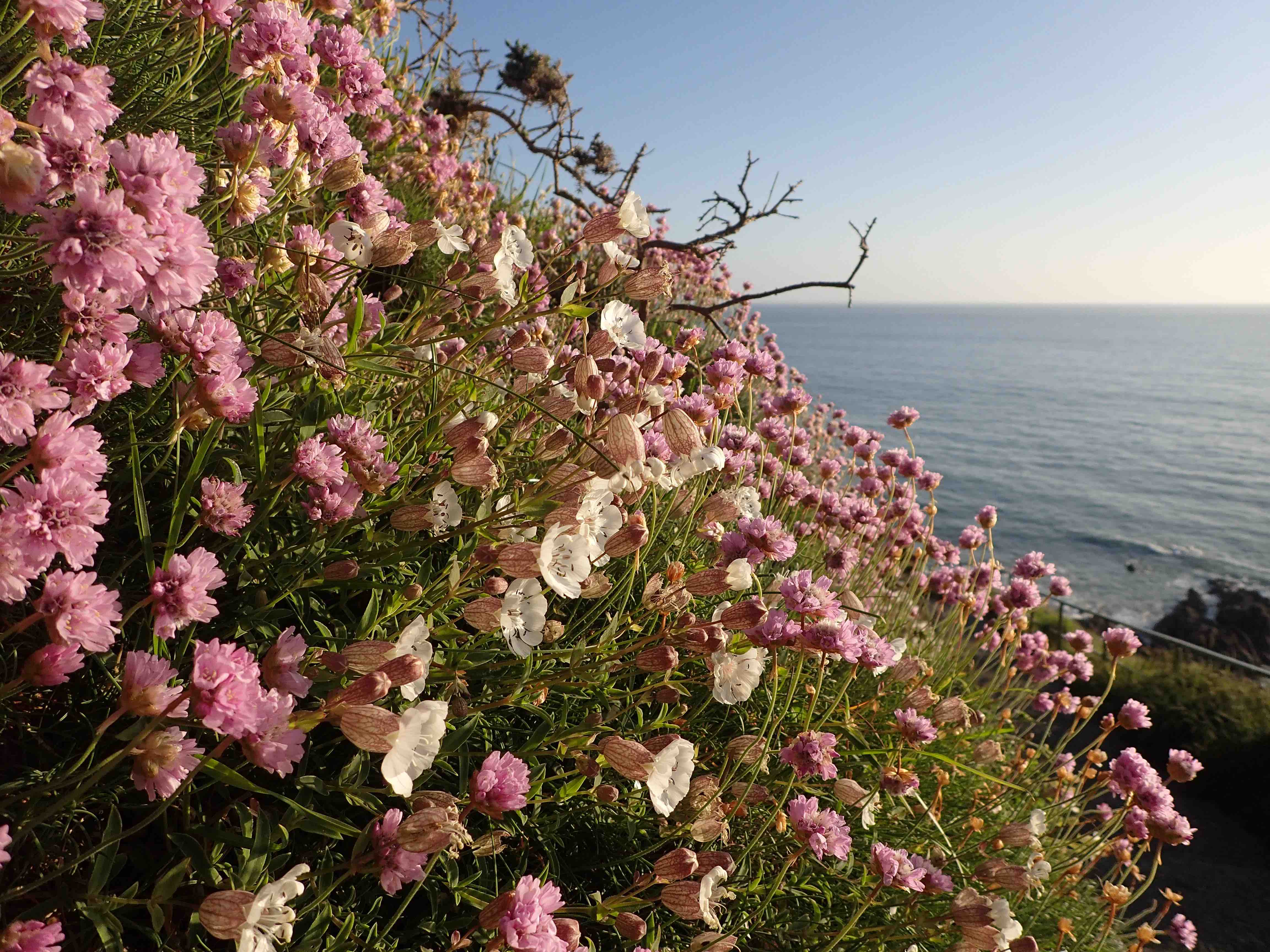 Annexe P5100924 - copie.jpg