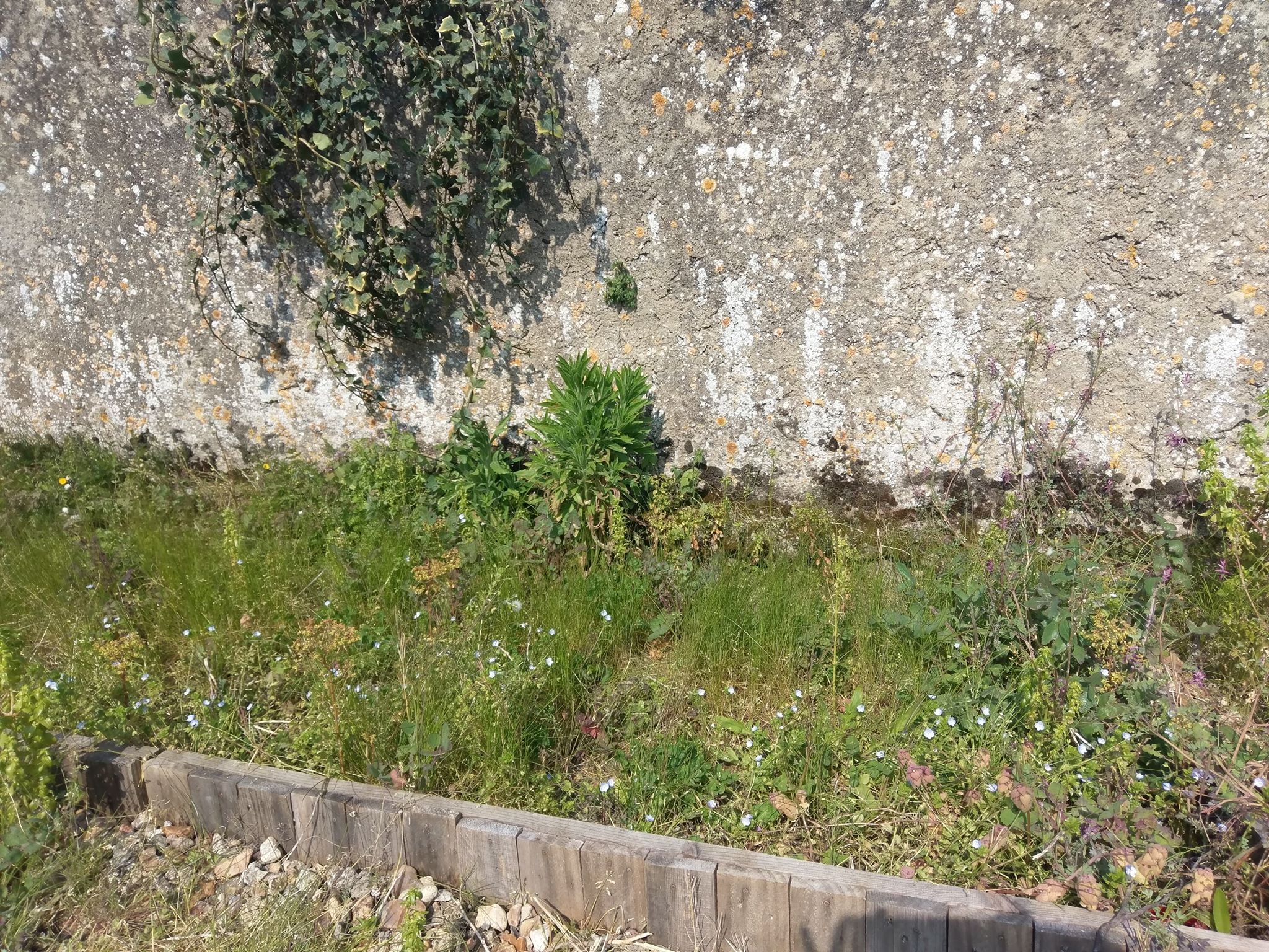 Annexe 91334860_504683313743846_2600213066884841472_n.jpg