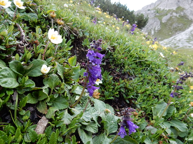 Annexe 5056162D-4679-48EF-BE08-602488230565.jpeg