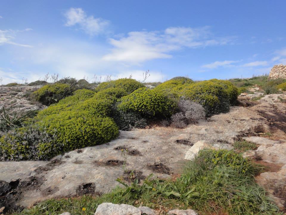 Annexe BIODIVERSITE.jpg