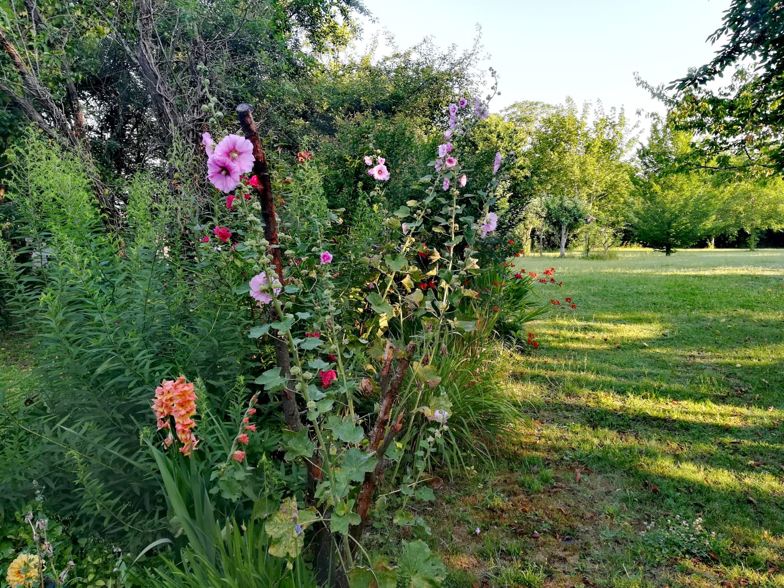 Annexe IMG-20180708-WA0010.jpg