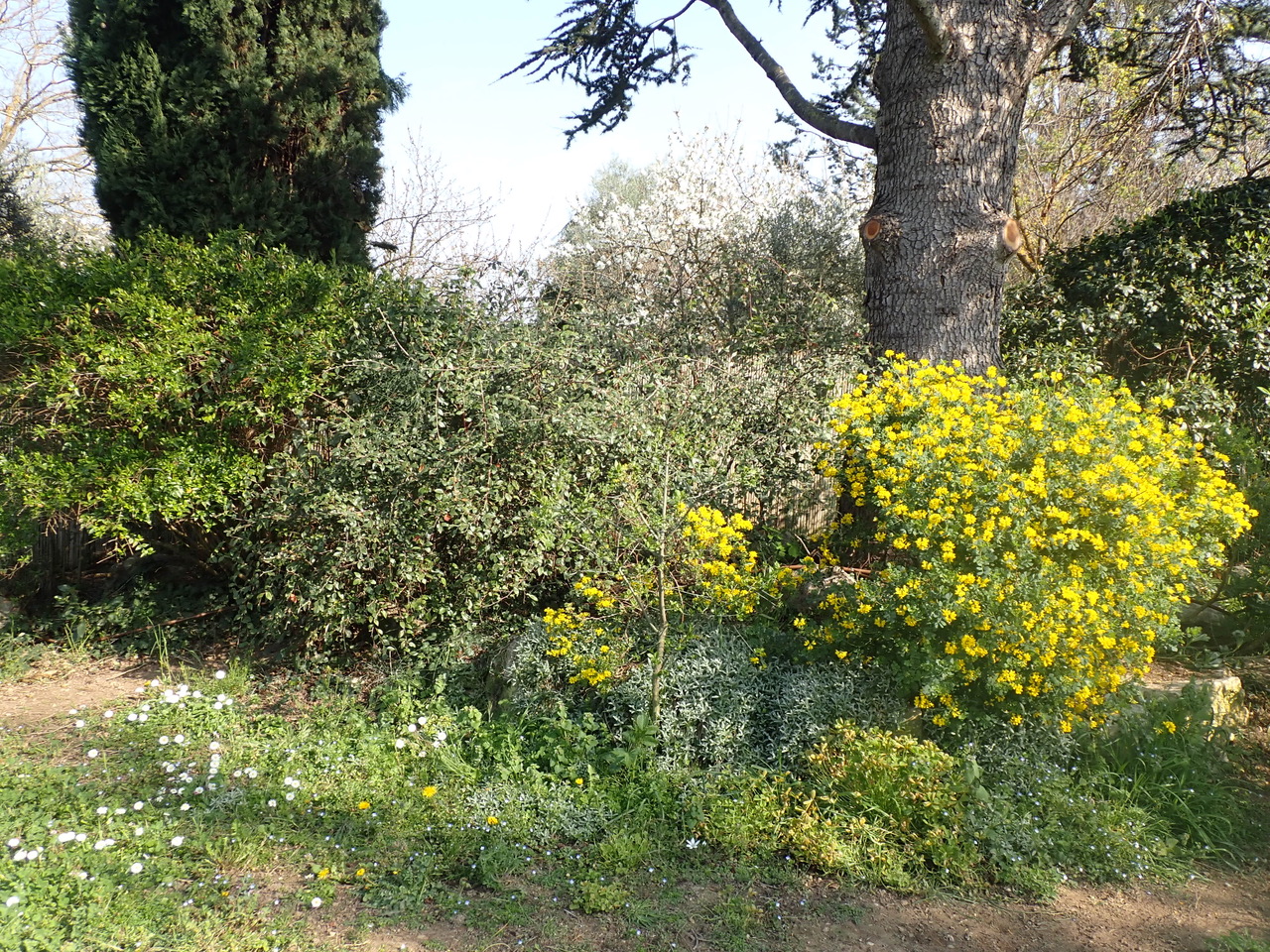 Annexe biodiversité.JPG