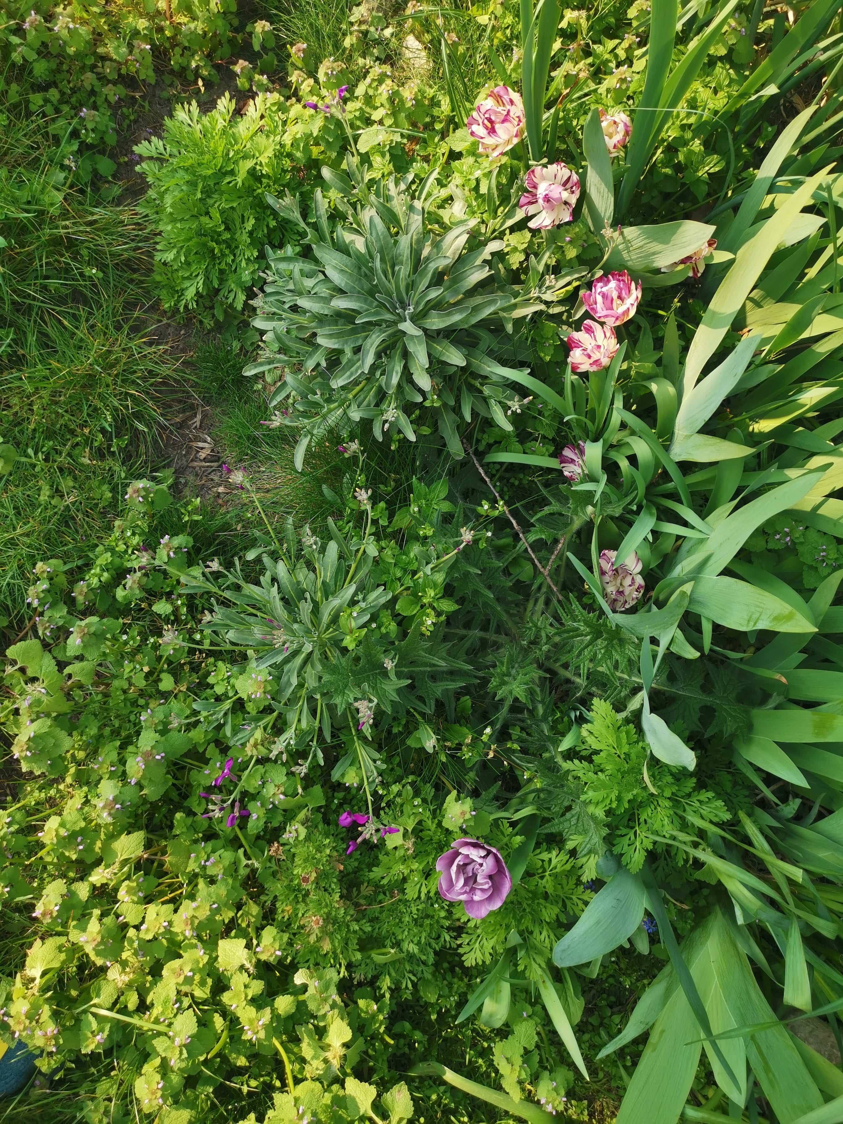 Annexe IMG_20200328_161130-min.jpg