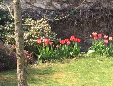 Annexe biodiversité jardin orléans.JPG
