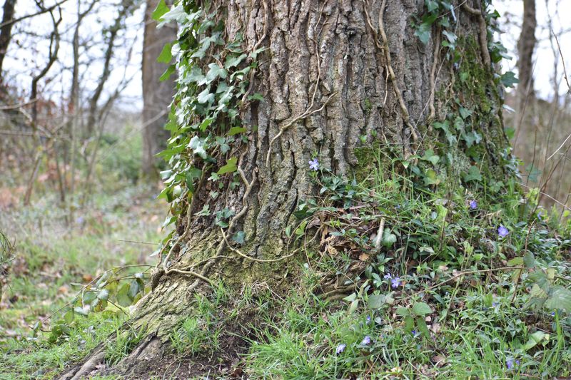 Annexe DSC_0074_resultat.JPG