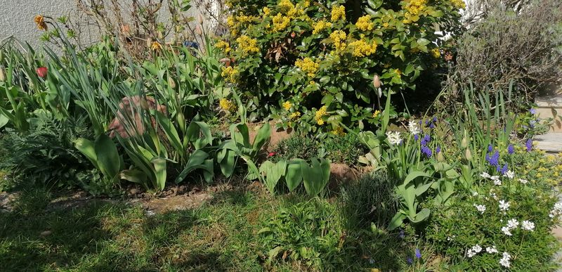 Annexe biodiversité.jpg