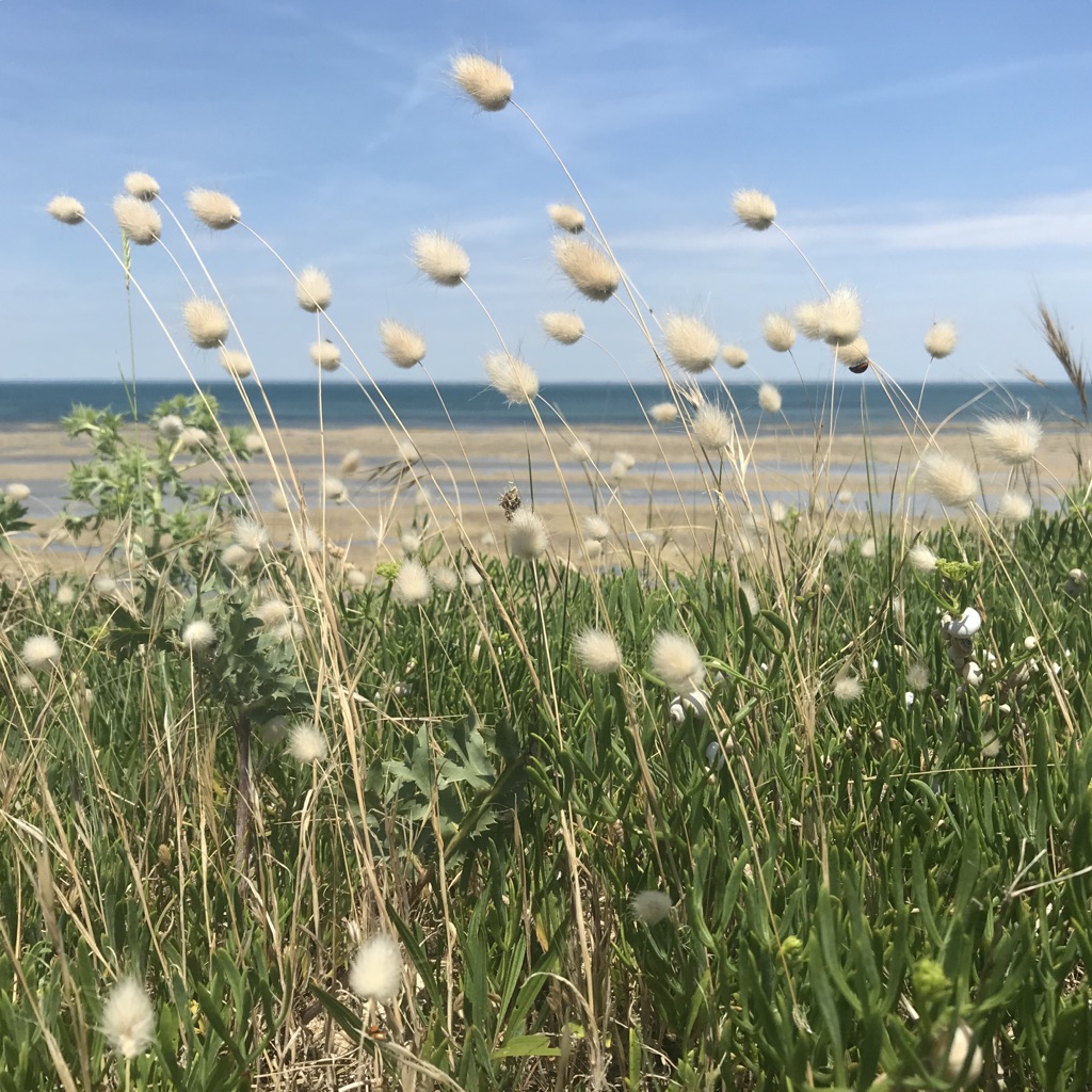 Annexe UAuyzffbQt+APUw6%MQnZA_thumb_2cc6.jpg