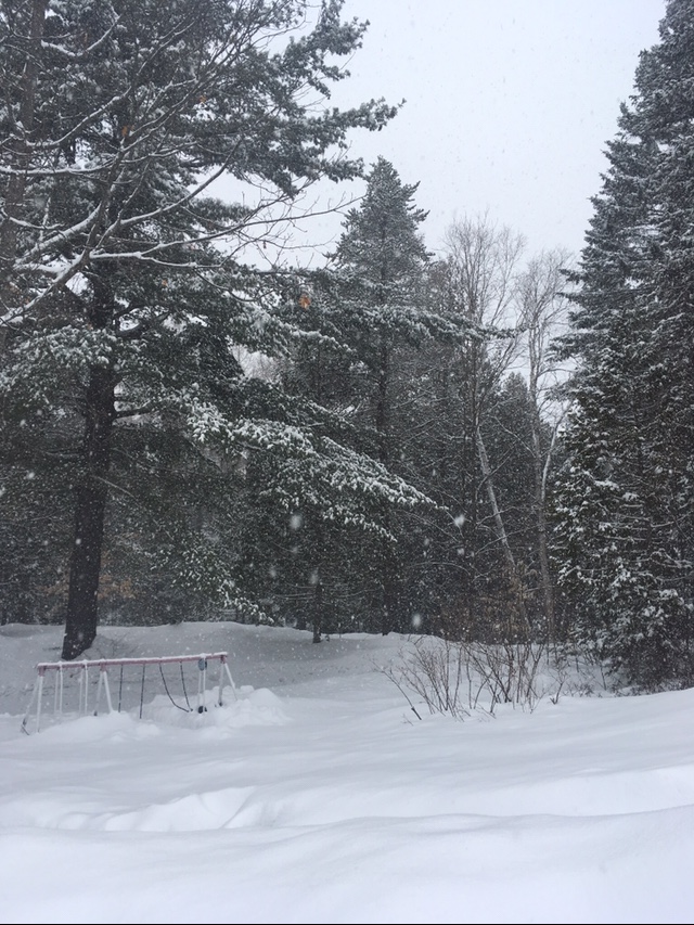 Annexe IMG_6545.jpeg