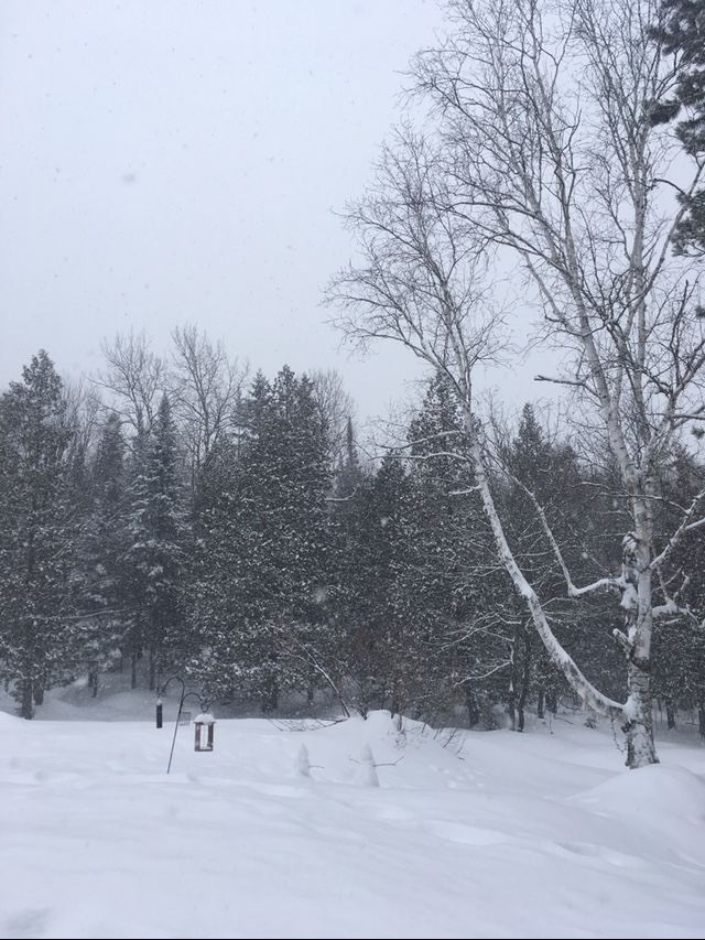 Annexe IMG_6546.jpeg