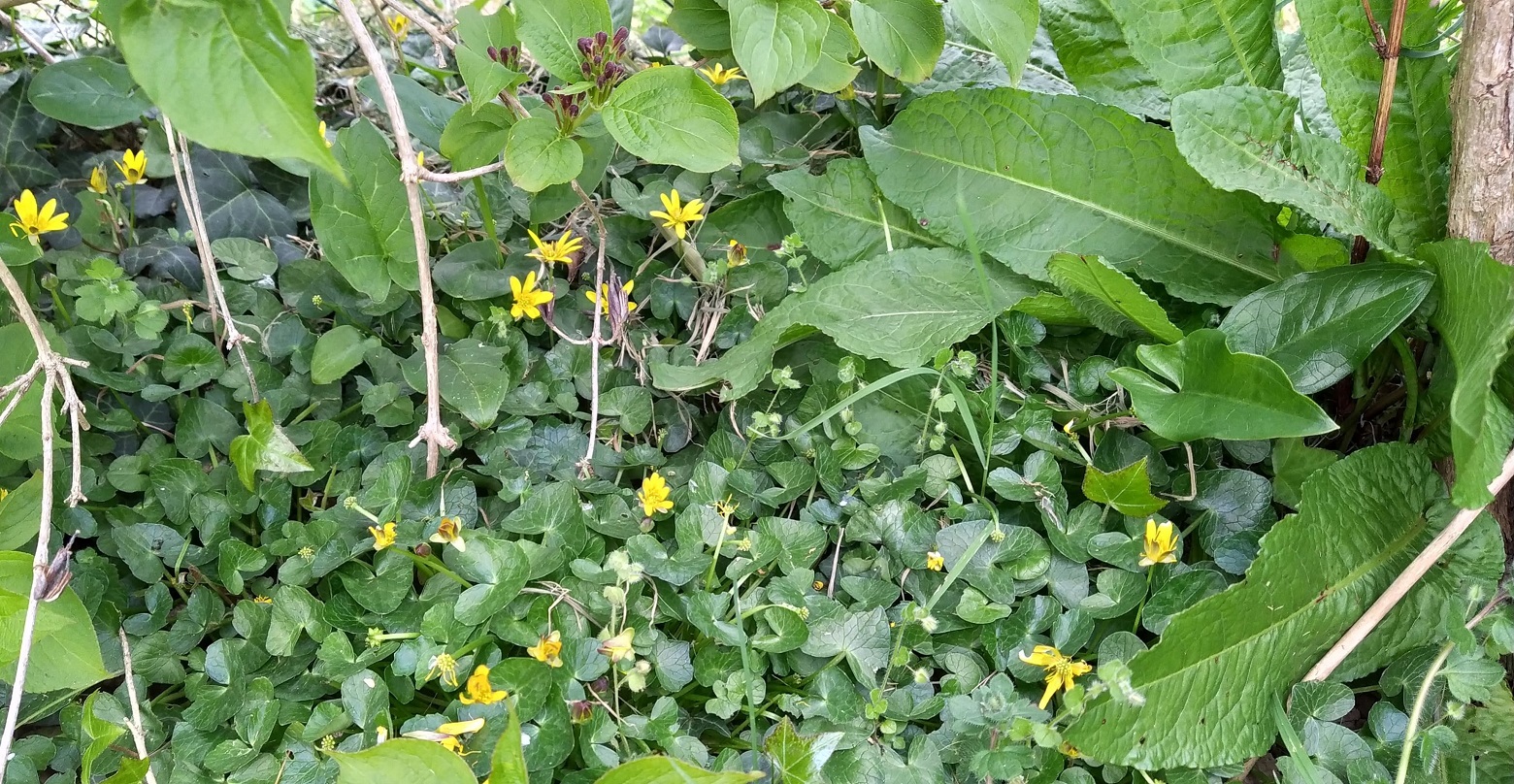 Annexe 90801039_259307848435601_8816036599767760896_n.jpg