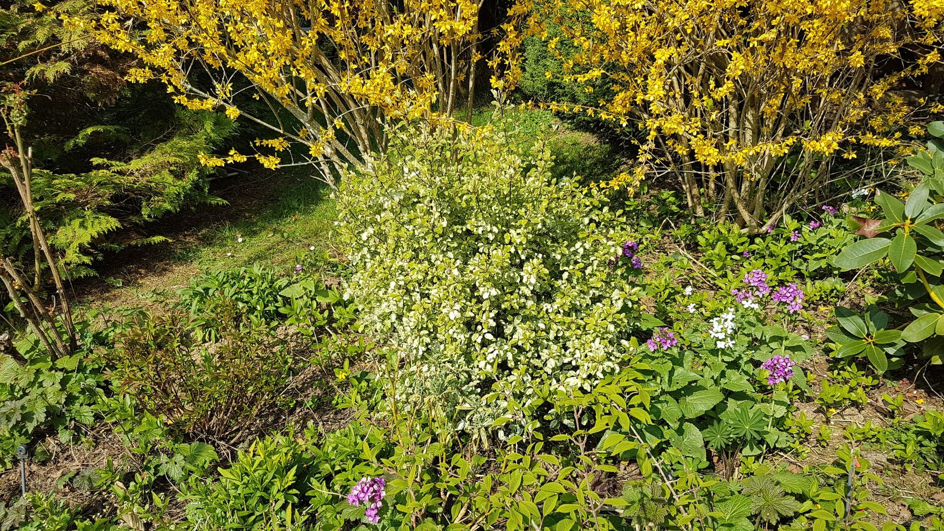 Annexe biodiversité.jpg