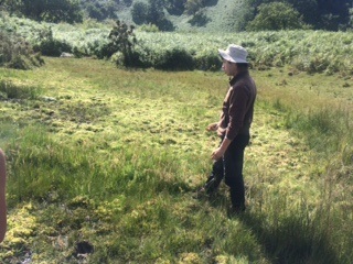 Annexe tourbiere.jpg