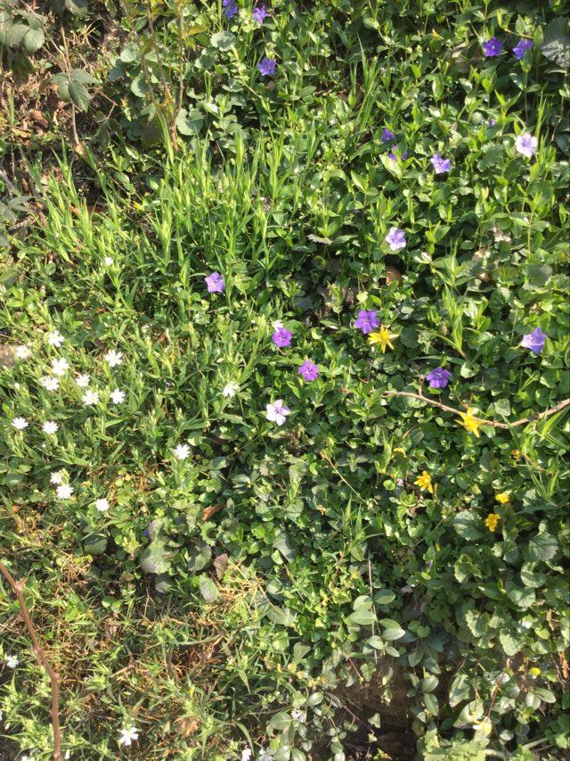 Annexe 91413988_246071856549833_7427345171844431872_n.jpg