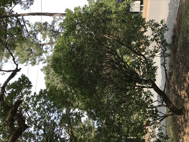 Annexe 3276E36D-DC32-4FD8-8069-02DAC18E81AD.jpeg