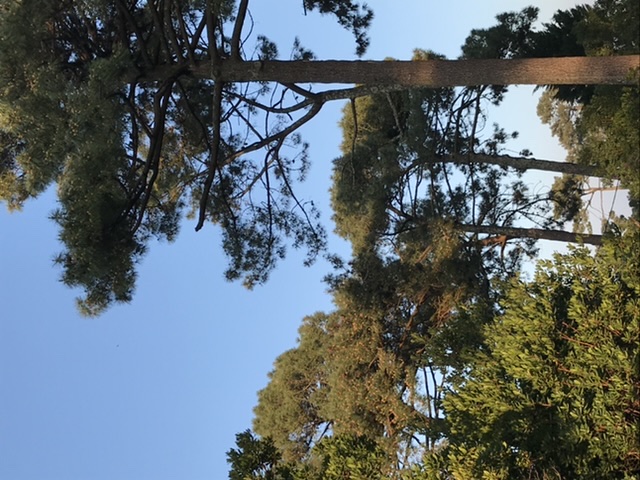 Annexe 3D4B0702-28C2-41AE-8B0E-DCE9BD9E3F1C.jpeg