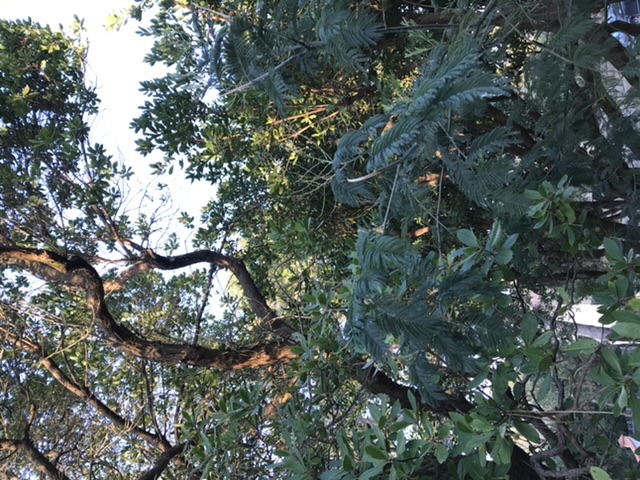 Annexe F54C79B7-05EF-4277-AB7D-0586C3315F7F.jpeg