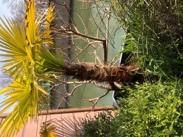 Annexe biodiversité.jpg