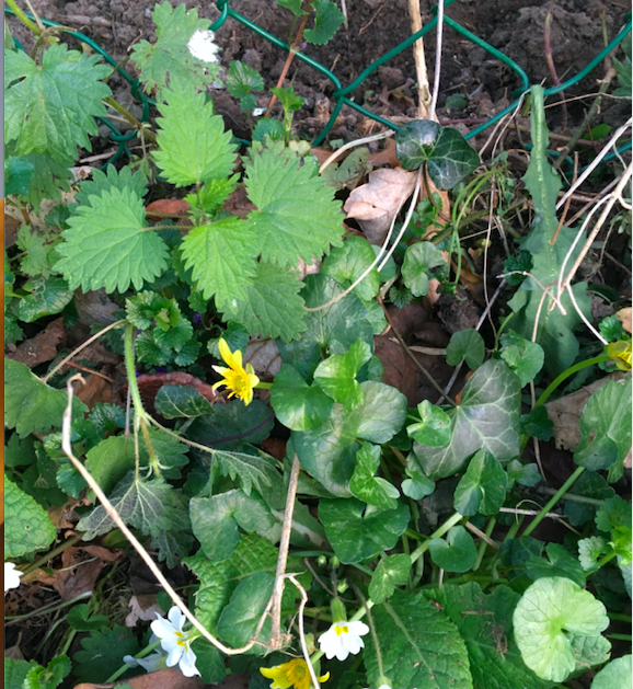 Annexe Capture d’écran 2020-03-28 à 18.57.57.png