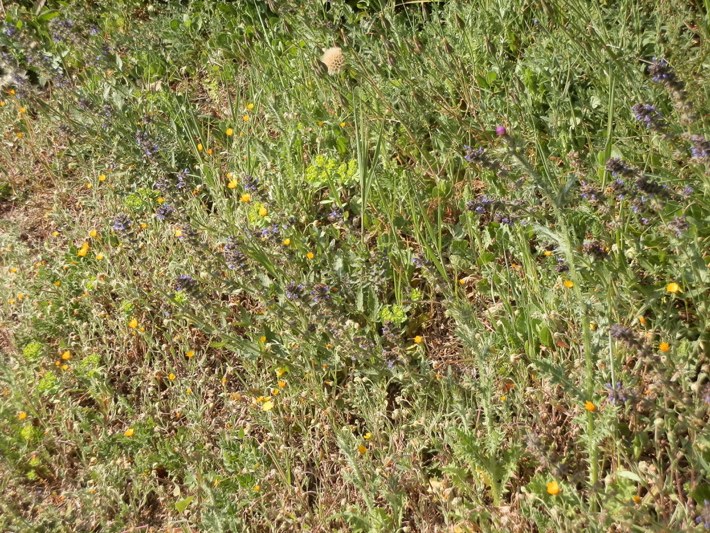 Annexe 2695E727-15B5-47DB-AFBB-82EF156FEEFB_1_105_c.jpeg