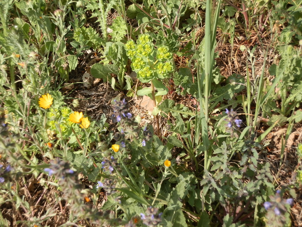 Annexe 9A035AAC-C7B7-42BC-AE56-0B512EB173EF_1_105_c.jpeg