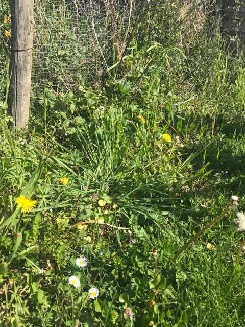 Annexe IMG_0781 (2).jpg