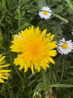 Annexe IMG_0783 (2).jpg