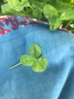 Annexe IMG_0784 (2).jpg