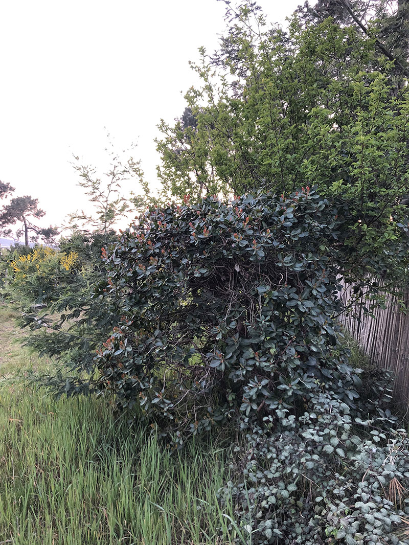 Annexe biodiversite-ravi.jpg