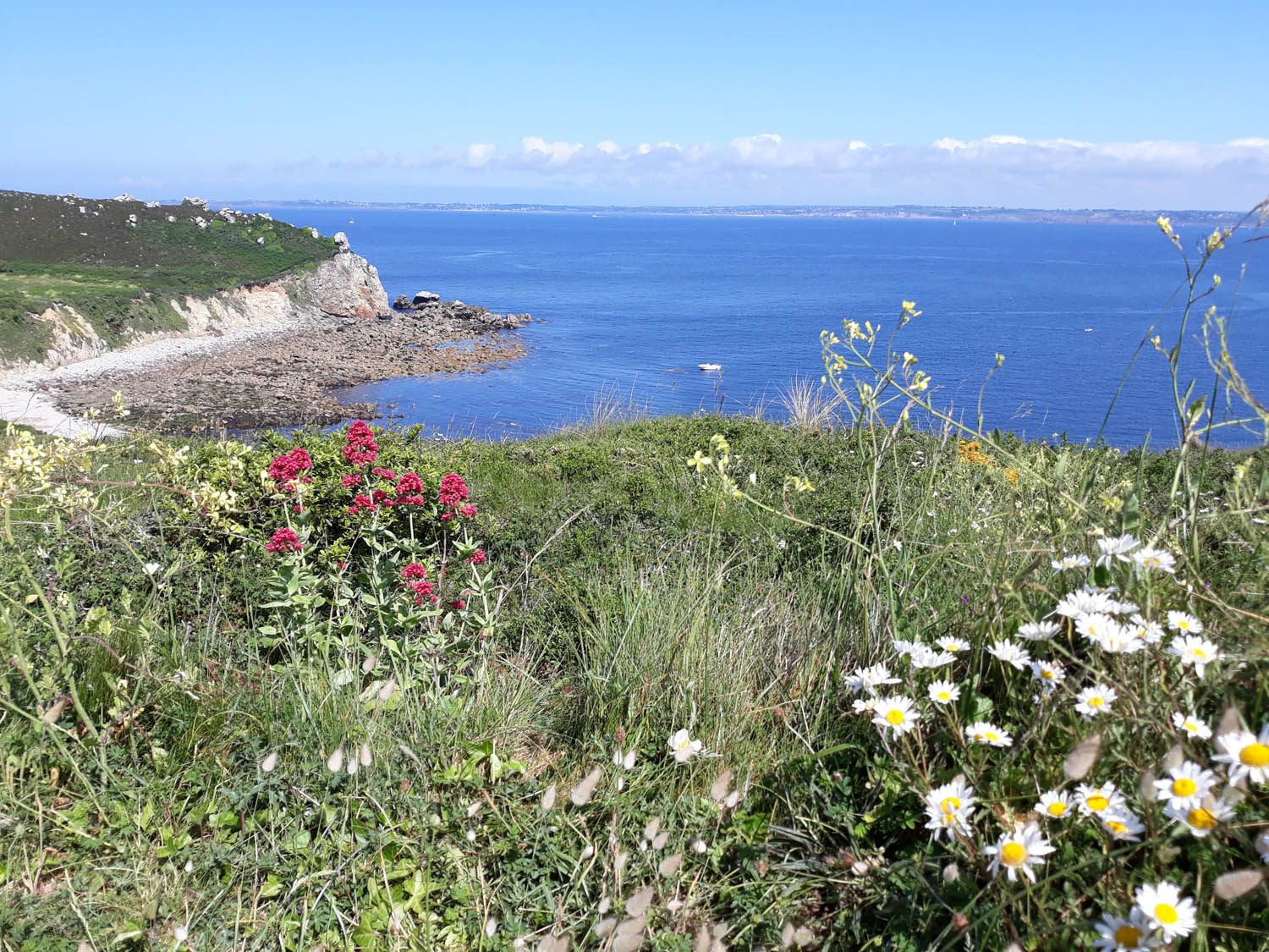 Annexe 20180601_115111.jpg