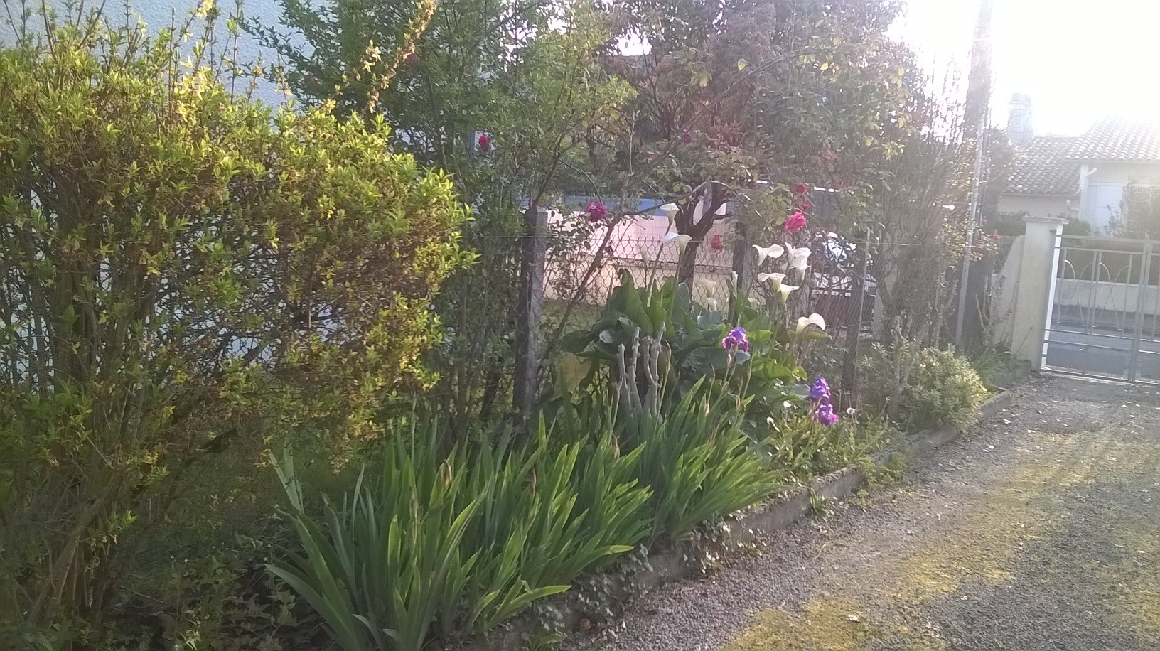 Annexe WP_20200329_001.jpg