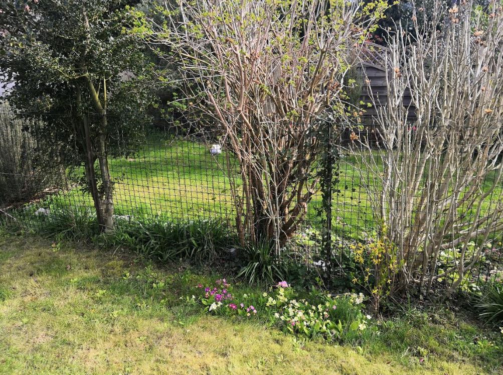 Annexe Capture biodiversité.JPG