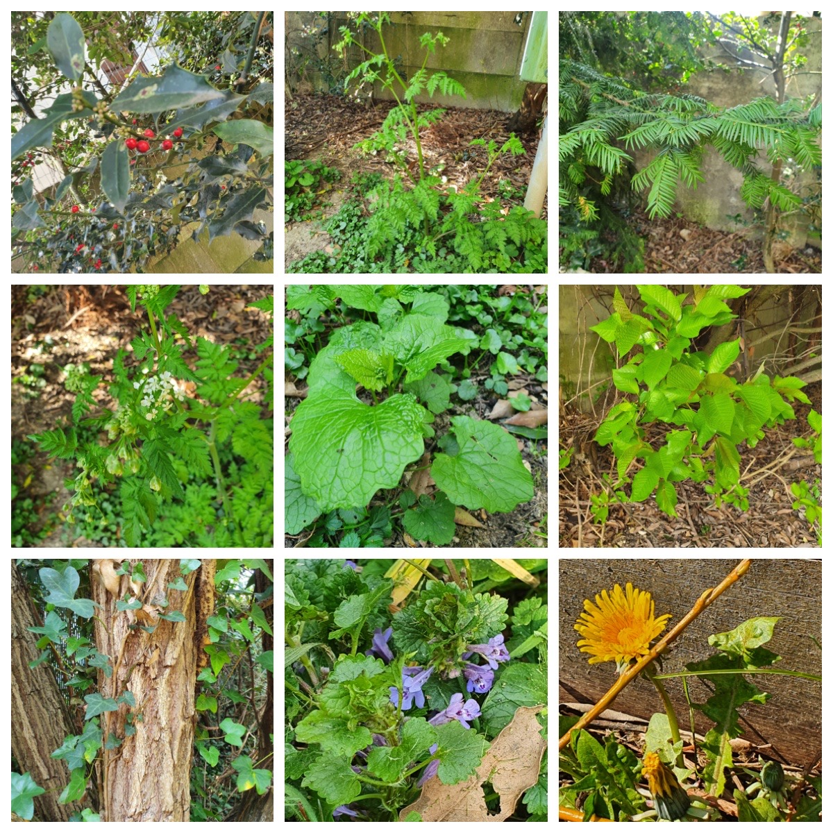 Annexe Mystere2.jpeg