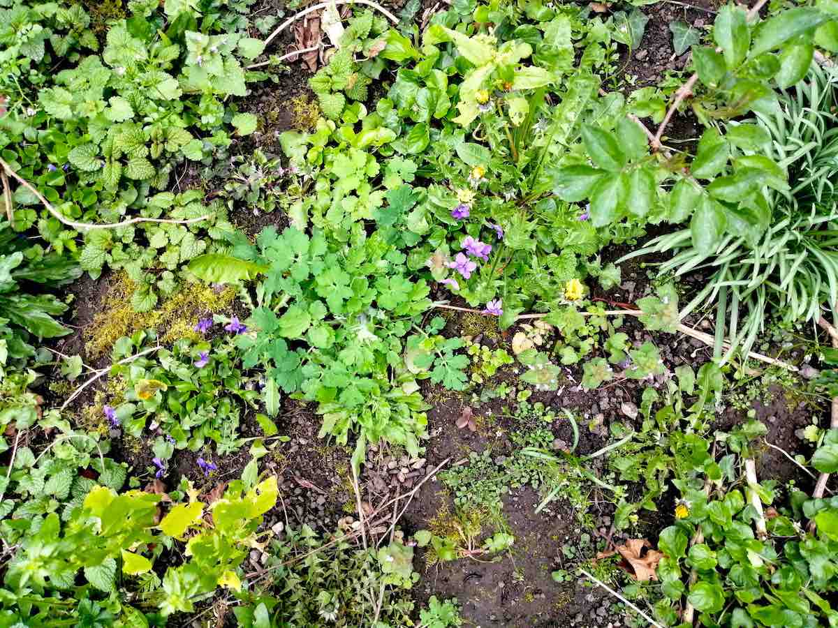 Annexe IMG_20200329_094711.jpg