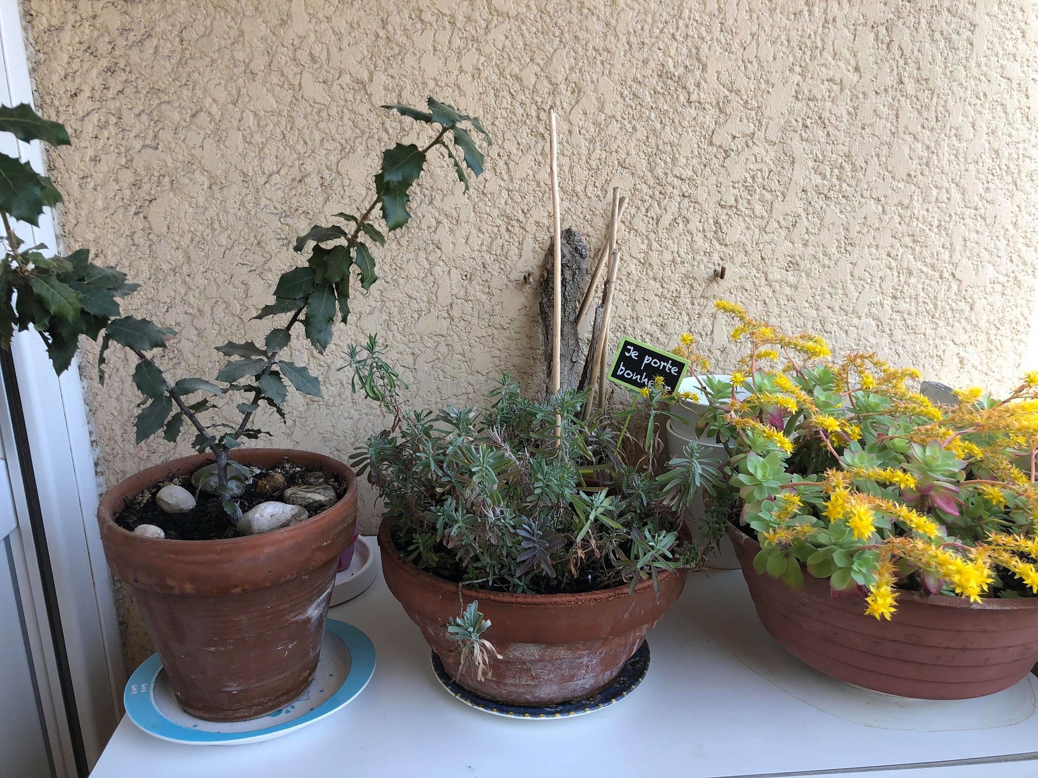 Annexe 91490656_665324787565399_4676226071077584896_n.jpg