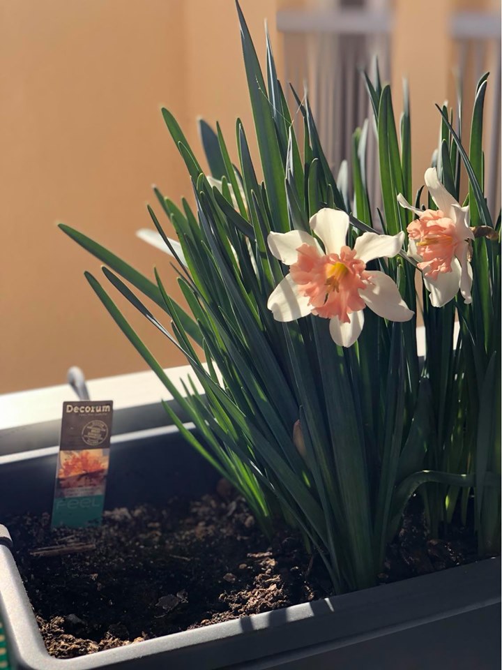 Annexe 91545429_205281500799579_2856884701950377984_n.jpg