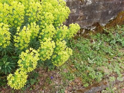 Annexe IMG_20200329_132049a.jpg