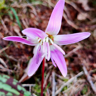 Annexe 49552186146_5388a456e4_n.jpg