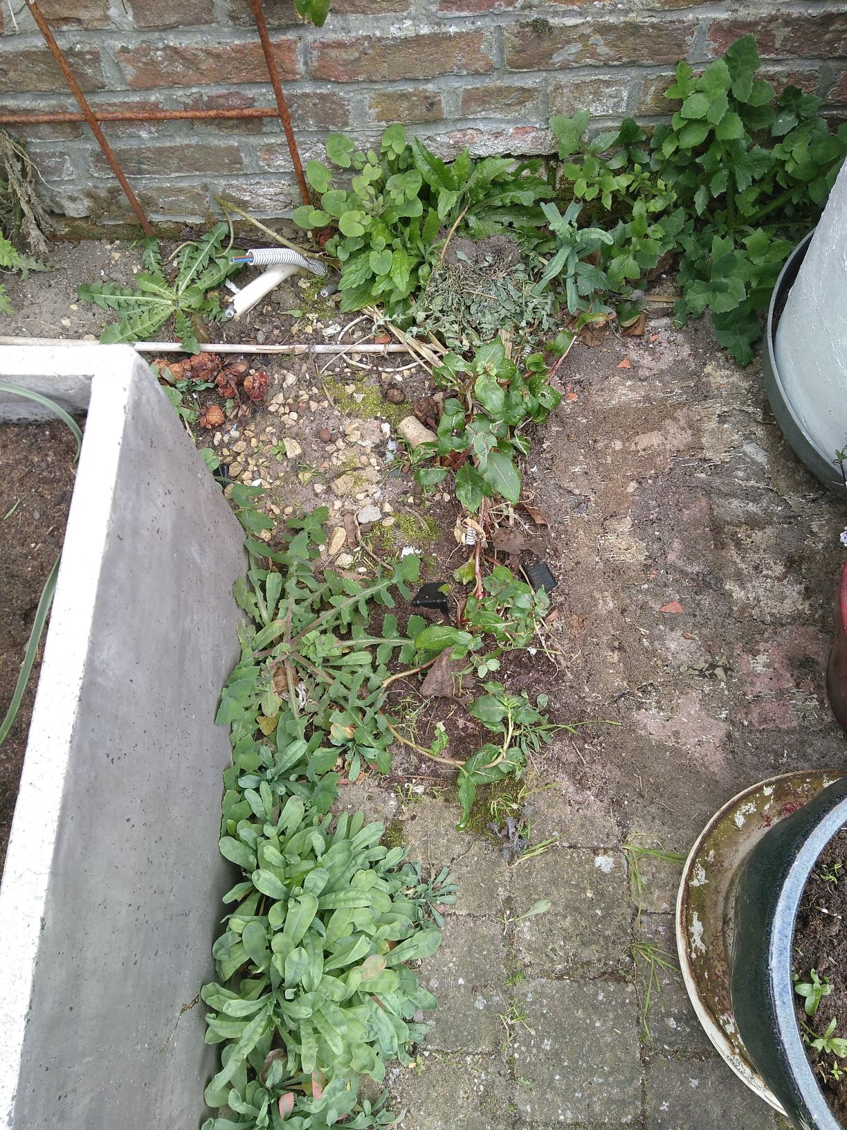 Annexe Biodiversité terrasse.jpg