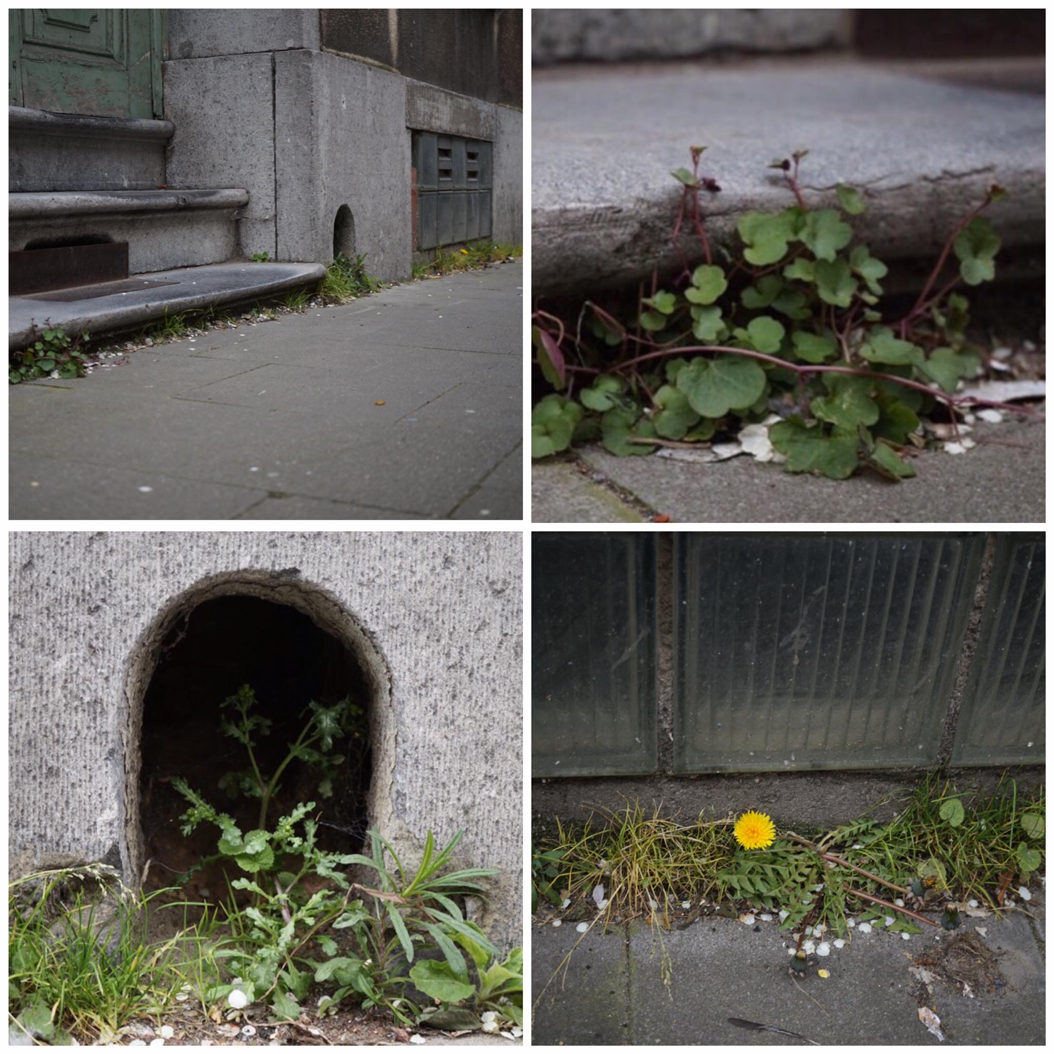 Annexe 90905753_233906294519449_806596258348138496_n.jpg