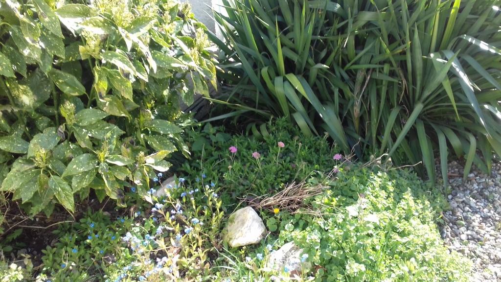 Annexe diversité.jpg