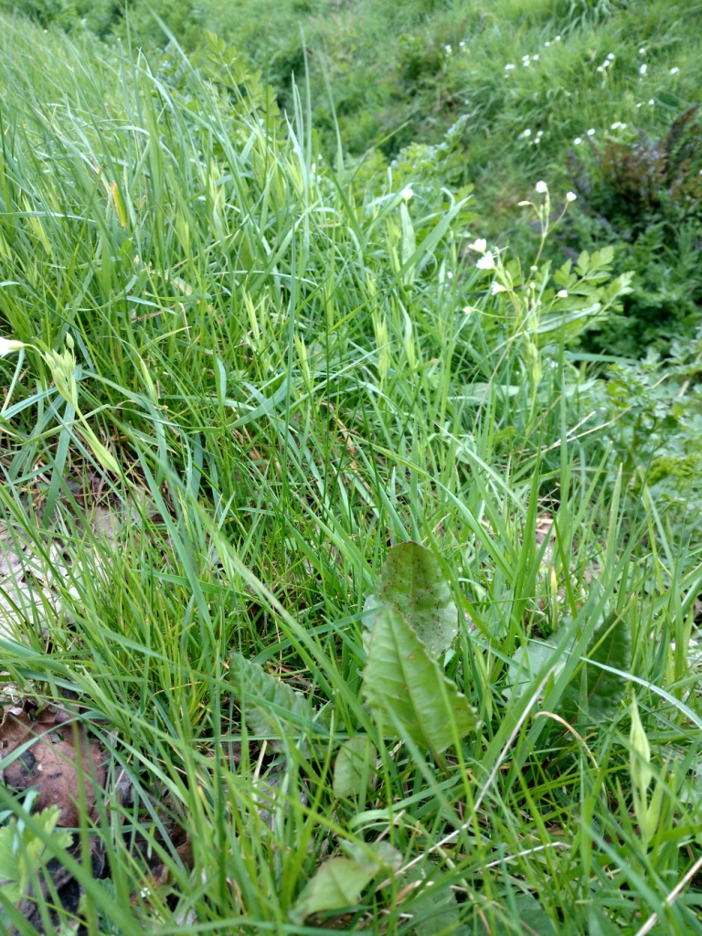 Annexe IMG_20200329_122410611_HDR.jpg