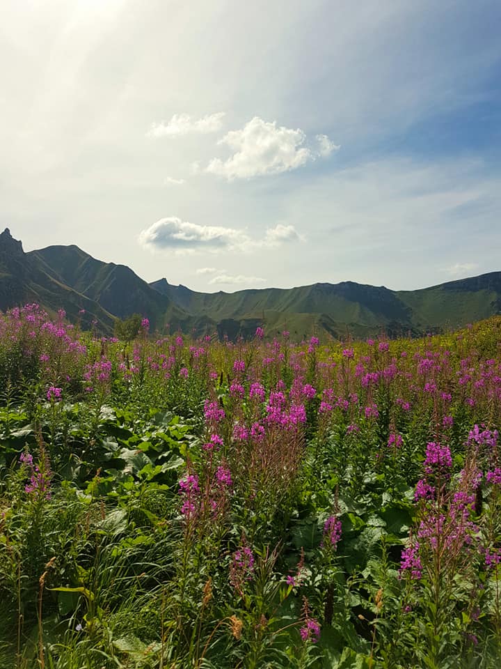 Annexe 39289253_10217244741539453_4835572291221848064_n.jpg